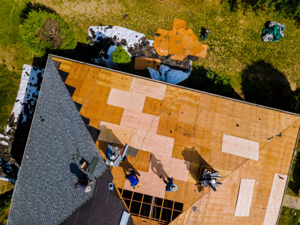 Best Roof Gutter Cleaning  in Ravenna, OH